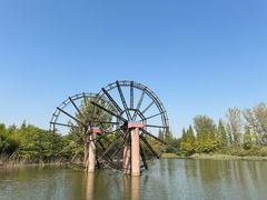 -泗洪洪泽湖湿地景区