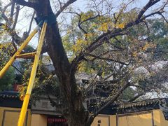 -无锡惠山寺