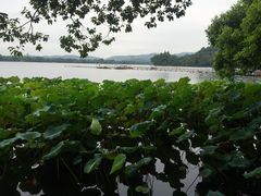 郭庄茶室-郭庄茶室