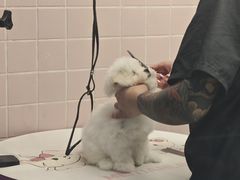 -FAELING PETS美天灵宠物(富力广场店)