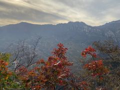 -北京上方山国家森林公园