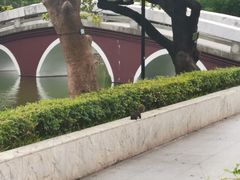 -阿水狮猪脚大王(台中公园店)