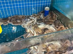 -前王院•巧克力海鲜市集餐厅(万平口店)