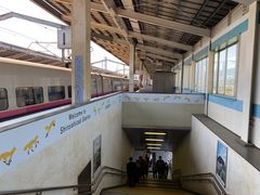 -宫城藏王狐狸村