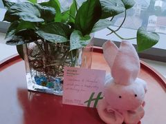 -上海浦东康桥绿地假日酒店