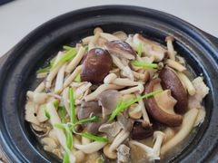 杂菌煲-广兴酒家