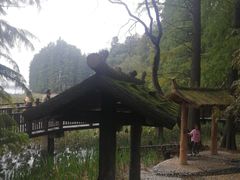 -东湖落雁景区