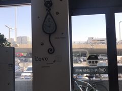 -美联众合动物医院·伴可分院·内科中心医院