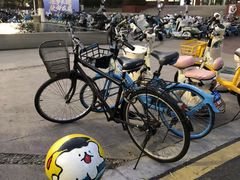 -上海交通大学闵行校区-包玉刚图书馆