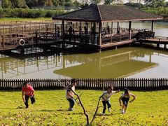 -太阳岛度假酒店