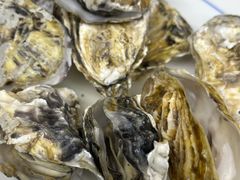 -青岛海泉湾皇冠假日度假酒店