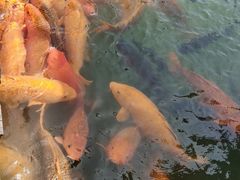 -75幢私房菜馆