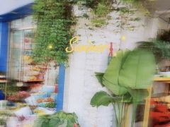 -溪岸路花鸟市场