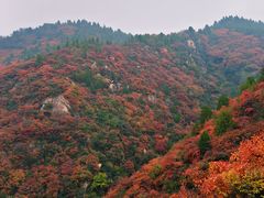 -秦岭终南山世界地质公园翠华山景区