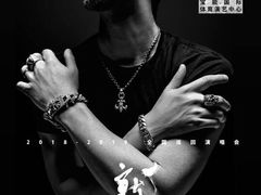 汪峰演唱会-宝能国际体育演艺中心