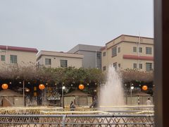 -陶缘一号·四季缘·老字号顺德菜·户外婚礼家宴(西滘店)