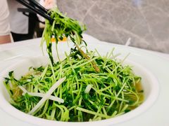 上汤翡翠苗-翠园(北京王府中环店)