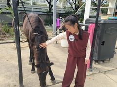 -亚马逊丛林水乐园