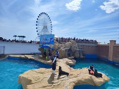 -秦皇岛乐岛海洋王国