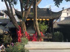 -陈建平麻花(磁器口总店)