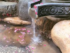 -厦门日月谷温泉渡假村