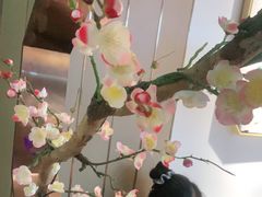 -野妹火锅(龙岗店)