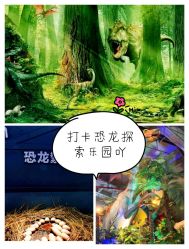 -恐龙探索乐园(磁器口店)
