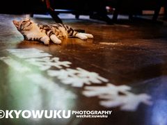 -咖法森林·咖啡  酒吧(天河店)