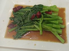 -全聚德(蓝山店)