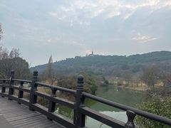 -苏州上方山国家森林公园