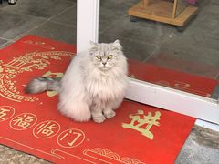 -长兴菜馆(高桥店)