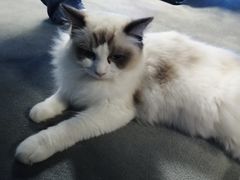 -零纪元VR体验馆·桌游(黄浦店)