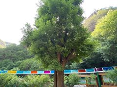 -十渡东湖港风景区