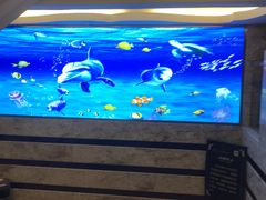 -水立方国际汤泉(六一中路店)