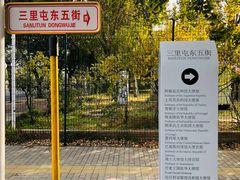 -三里屯东五街银杏大道