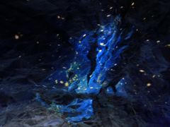 -贝壳梦幻世界