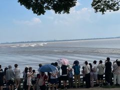 -观潮胜地公园