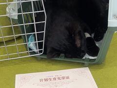 -悦宠动物医院(京丰分院)