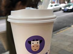 -一只酸奶牛(八一路店)