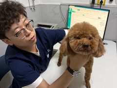 -科道动物医院·急重症中心(万达院)