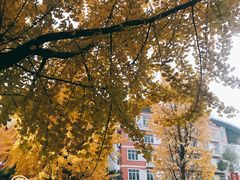 -四川大学(望江校区)