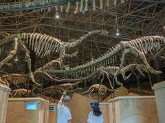 -世界恐龙谷景区