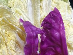 -野山舂·贵州现舂酸汤火锅(鸿通城店)