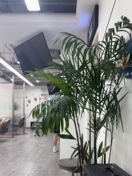 -爱秀造型 T-G