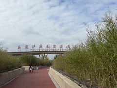 -西安浐灞国家湿地公园