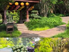 -七彩云南古滇温泉山庄