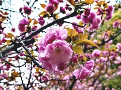 -苏州河梦清园环保主题公园