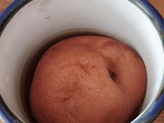 -古北烤梨