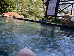 -威海天沐度假区温泉