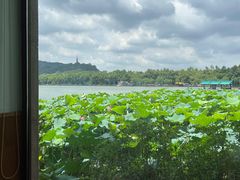 -湖畔居茶楼(湖滨店)